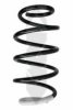 SPIDAN 86651 Coil Spring